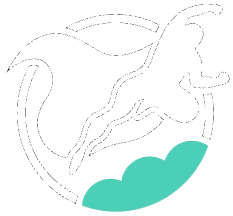 Website heroes w
